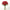 Alstroemeria 5 Tallos