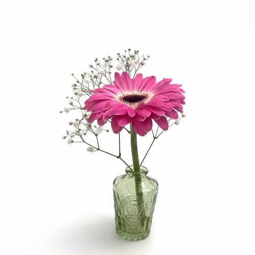 Gerbera