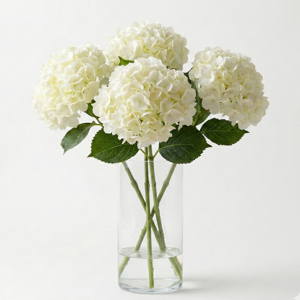 Hortensia en jarrón para decorar