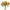 Girasol