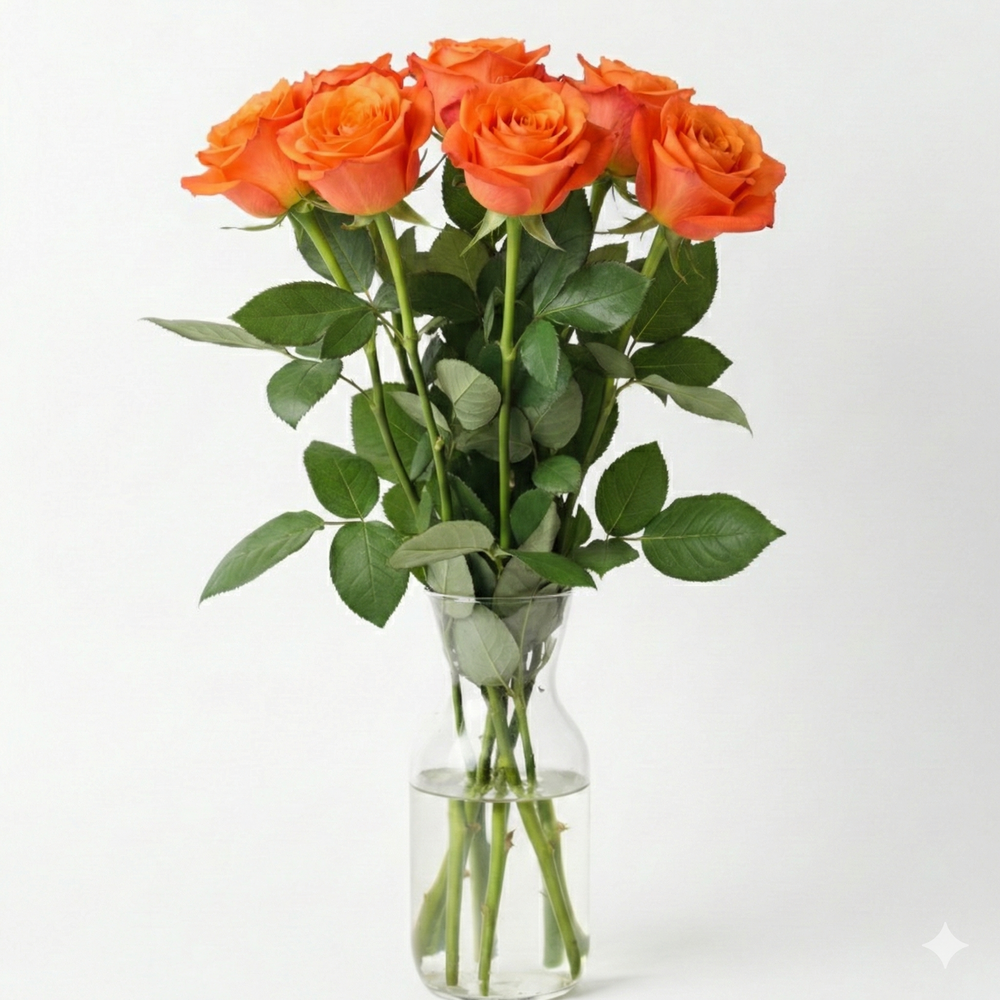 Rosas frescas en jarrón para decorar