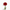 Gerbera