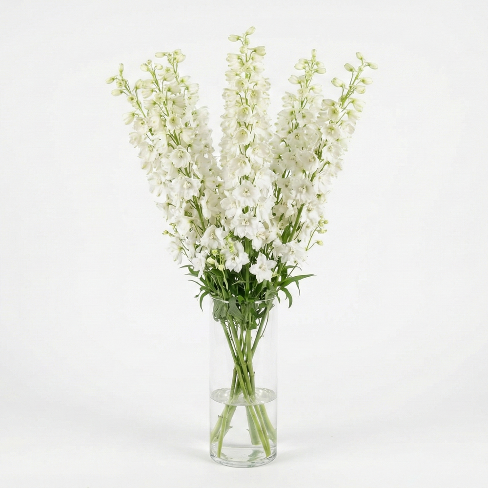 Delphinium en jarrón para decorar
