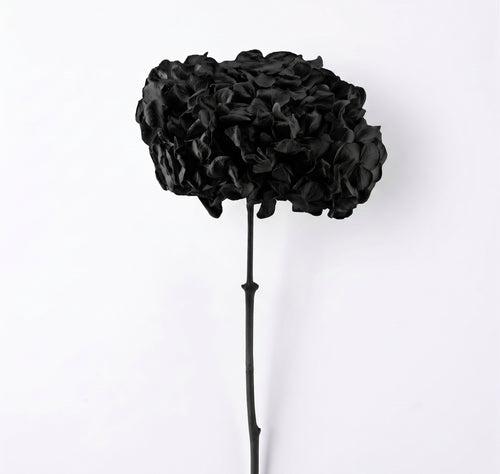 Hortensia Preservada Colores