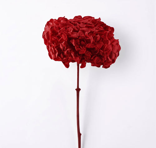 Hortensia Preservada Colores