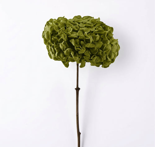 Hortensia Preservada Colores