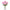 Margarita fresca rosa de flor grande