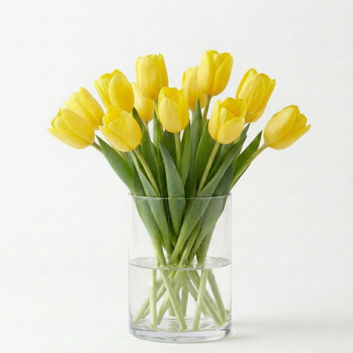 Tulipán amarillo, regalar flores amarillas