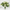 Ramo de lilium oriental y verdes frescos
