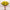 Ramo Gerberas Amarillas DIY