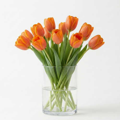 Tulipán naranja, regalar tulipán a domicilio