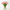 Tulipán Rosa, regalar tulipán a domicilio