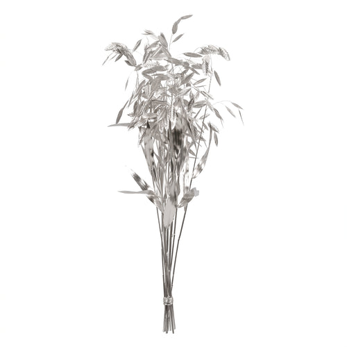 Chasmantium preservado de colores