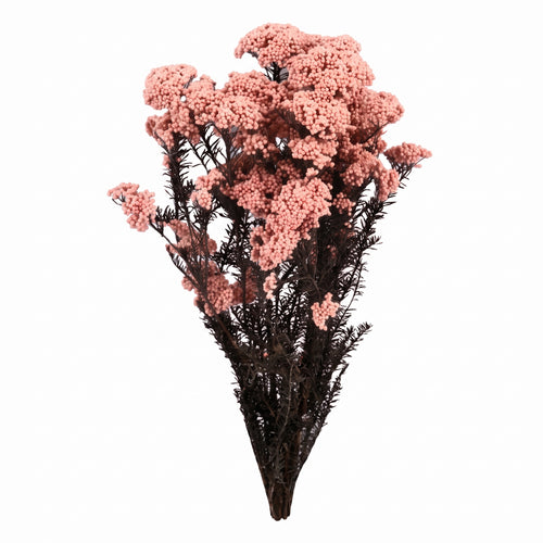Flor de Arroz seca de colores