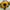 Girasol