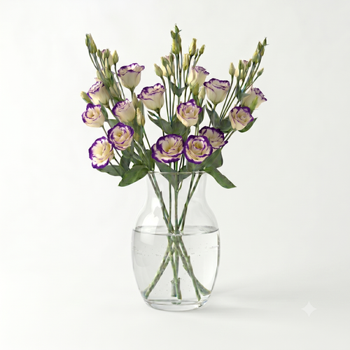 Lisianthus