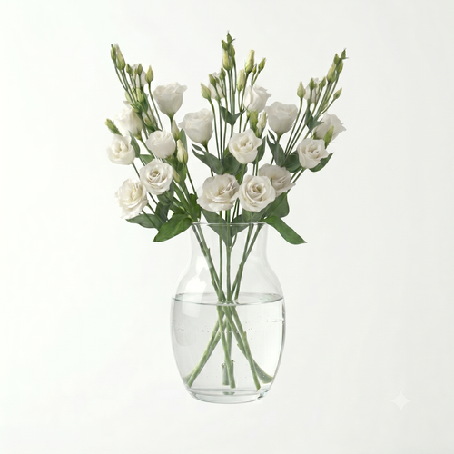 Lisianthus
