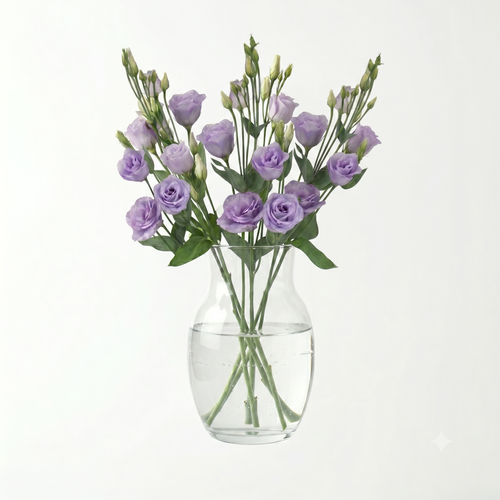 Lisianthus
