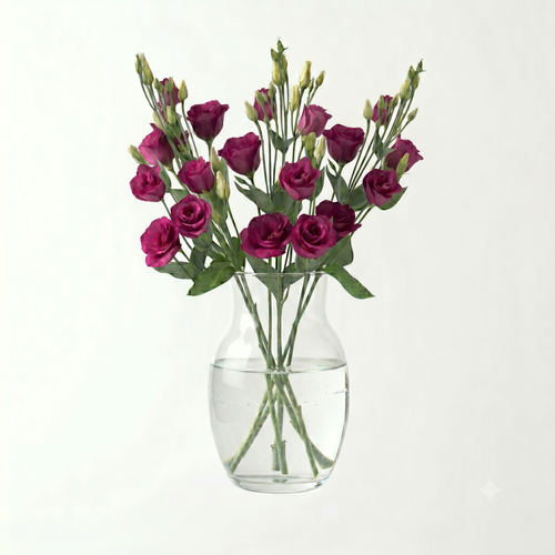 Lisianthus