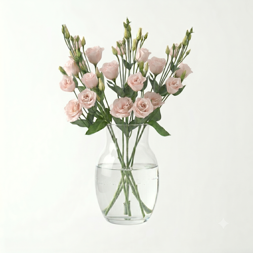 Lisianthus