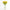 Solidago