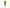 Statice o flor de papel