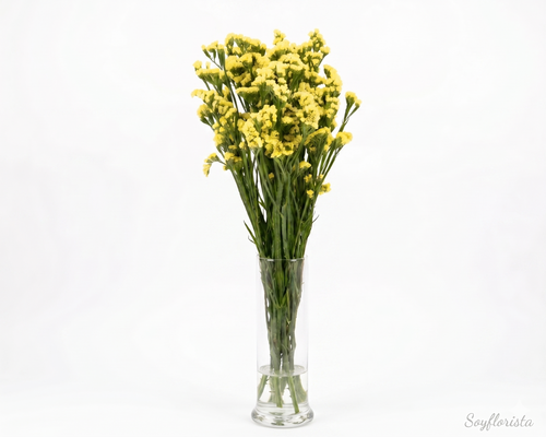 Statice o flor de papel