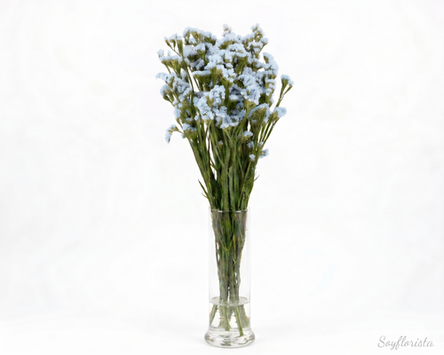 Statice o flor de papel