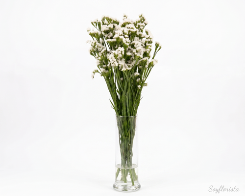 Statice o flor de papel