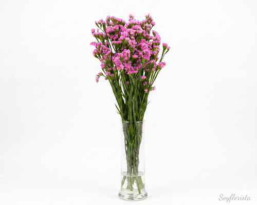 Statice o flor de papel