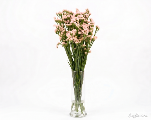 Statice o flor de papel